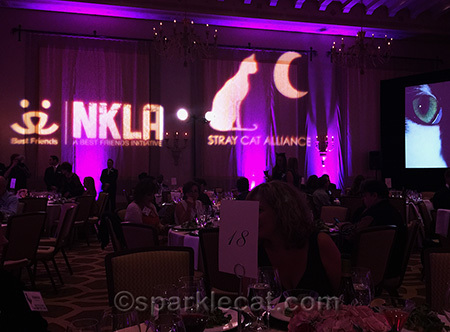 Stray Cat Alliance dinner in the Montage ballroom