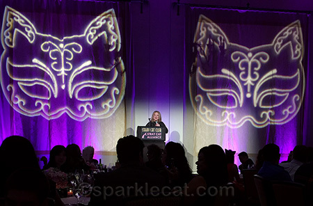Elayne Boosler at the podium