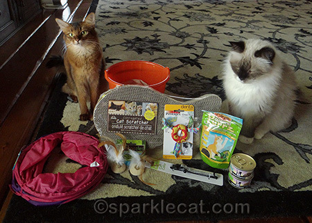 Boodie says we can never have too many toys and treats but I disagree