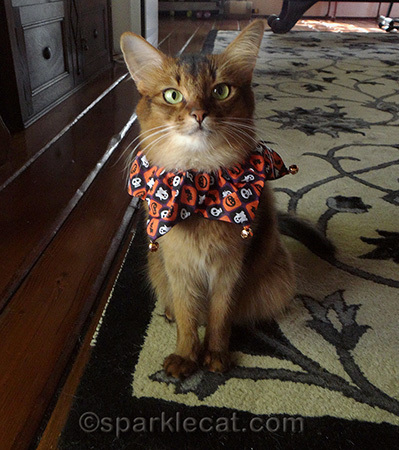 I would wear this all day, especially if I got treats for doing it