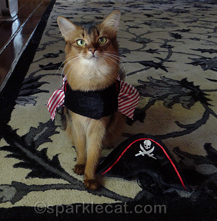 I am having fun being a pirate!
