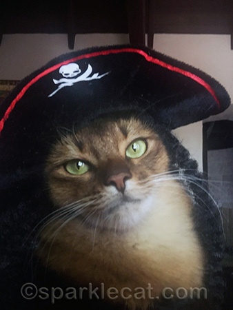 Yo-ho, yo-ho, a pirate's life for me!