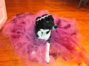 Annie Tutu