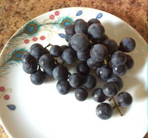 Concord grapes