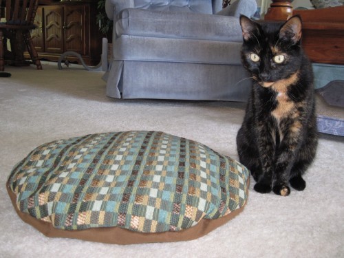 cat-bed