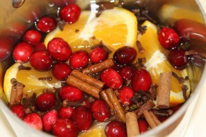 holiday-stove-top-potpourri_small