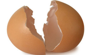 eggshell