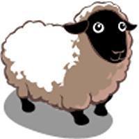 Sheep Avatar