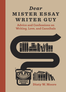 Dinty W. Moore's Dear Mister Essay Writer Guy book cover
