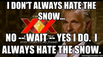 yes hate snow