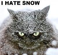hate-snow2