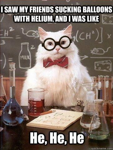 Smardy Kat 03