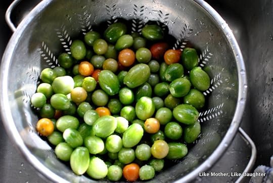 green tomato chutney-020