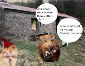 zmed-bbbbbbbubb290909