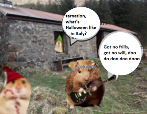 zmedbobbbb2rtrtrtrtrtr