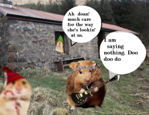 zmed-bbbbbbbubb290909