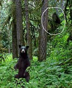 Flexible, adaptive programme, top right