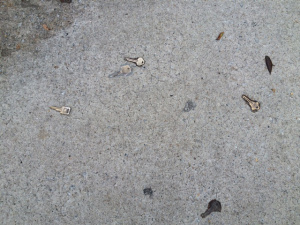 KeysInSidewalk