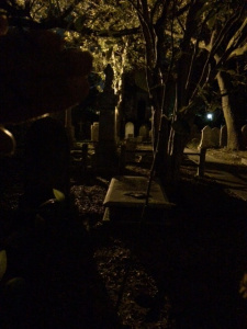 DarkCemeteryCharleston