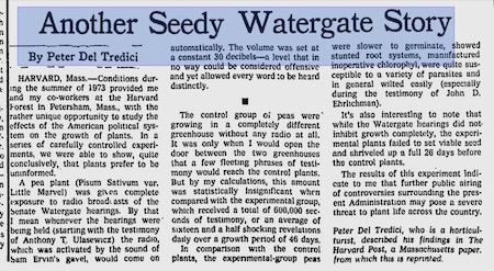 seedy-watergate
