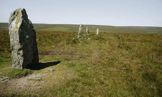 Stall moor row, southern Dartmoor, photograph by Herby Thyme
