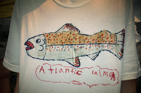 Photo: Send a message to Health Canada to stop GM salmon and protect wild Atlantic salmon 