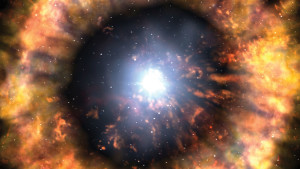 LIVE.NB_Supernova