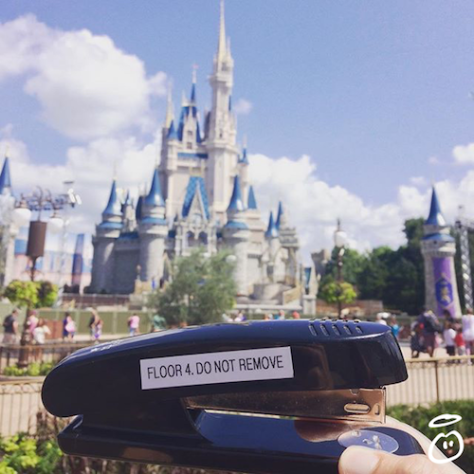 innocent-stapler-disneyland
