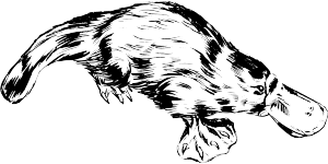 Photo by OpenClipartVectors taken from pixabay.com