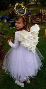 craft angel wings