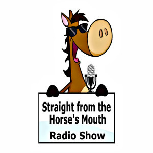 SFHM-Radio-Show-DarkLogo1400x1400