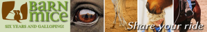 NewBarnmiceBanner20141