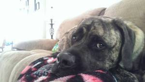 10430463_509589799140518_3986246706321918261_n