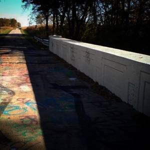 12188795_10203561602561002_1474477002_n