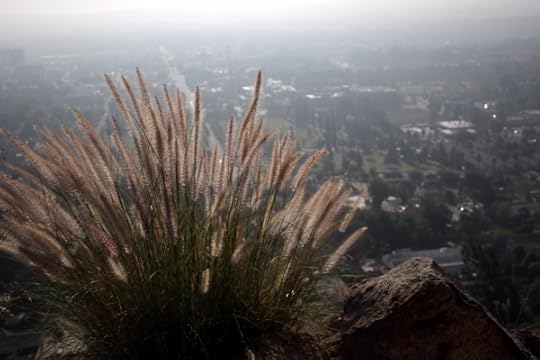 A hazy view of Riverside, CA from the slopes of Mt. Rubidoux.