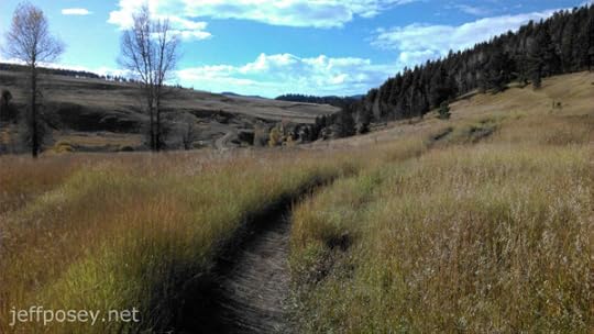 Meadow of Piedra River Trail near Pagosa Springs, Colorado,