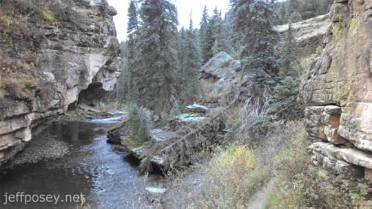 Canyon of the Piedra River on the Piedra River Trail near Pagosa Springs, Colorado.