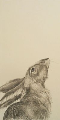 Moongazing by Jackie Morris