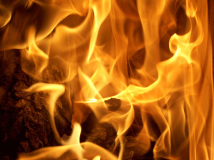 126338_original_R_K_B_by_110stefan_pixelio.de