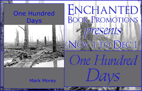 onehundredaysbanner