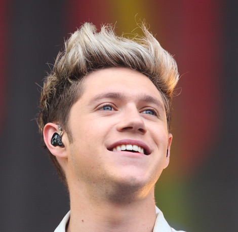 One Direction's Niall Horan Admits 'This Extended Break Will Be