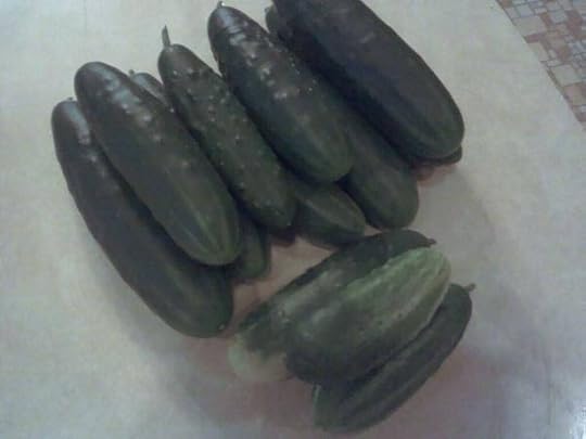 Cucumbers