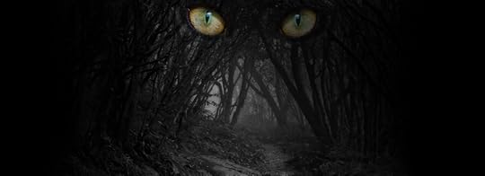 cat eye forest