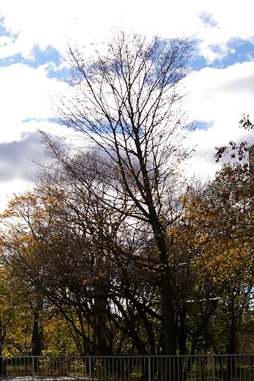 Tree Project - image 60
