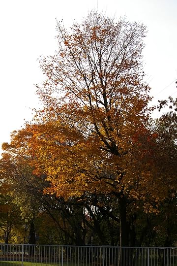 Tree Project - image 58