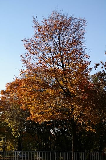 Tree Project - image 57