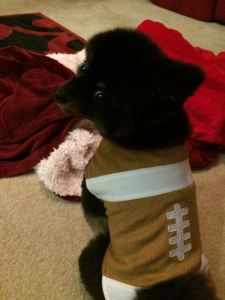 football sumo