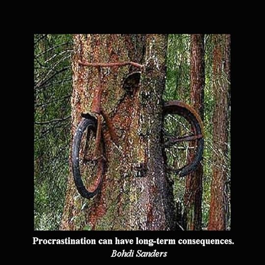 Weird pictures, Bikes, Trees, Forest, Procrastination, forest, funny pictures