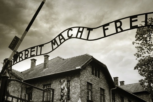 Mikael Damkier/Shutterstock