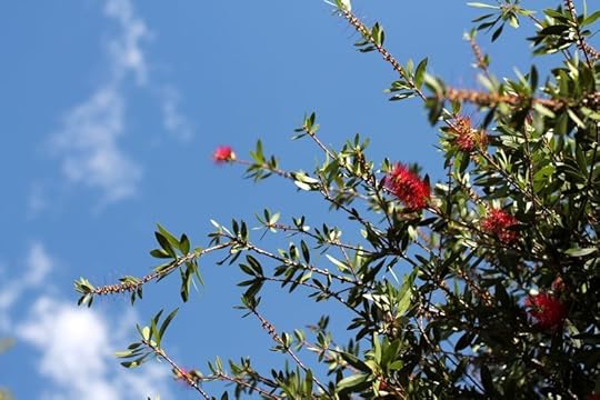 reading for the weekend | www.OrganisingQueen.com